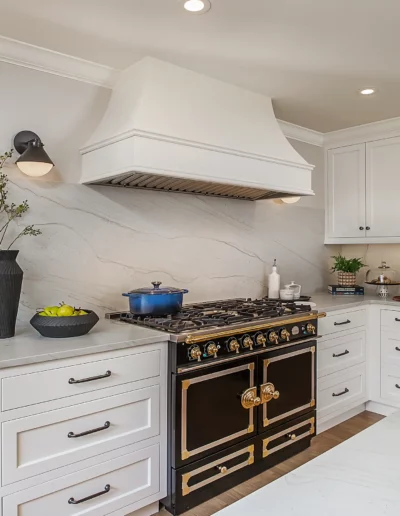 Fancy stove with hood